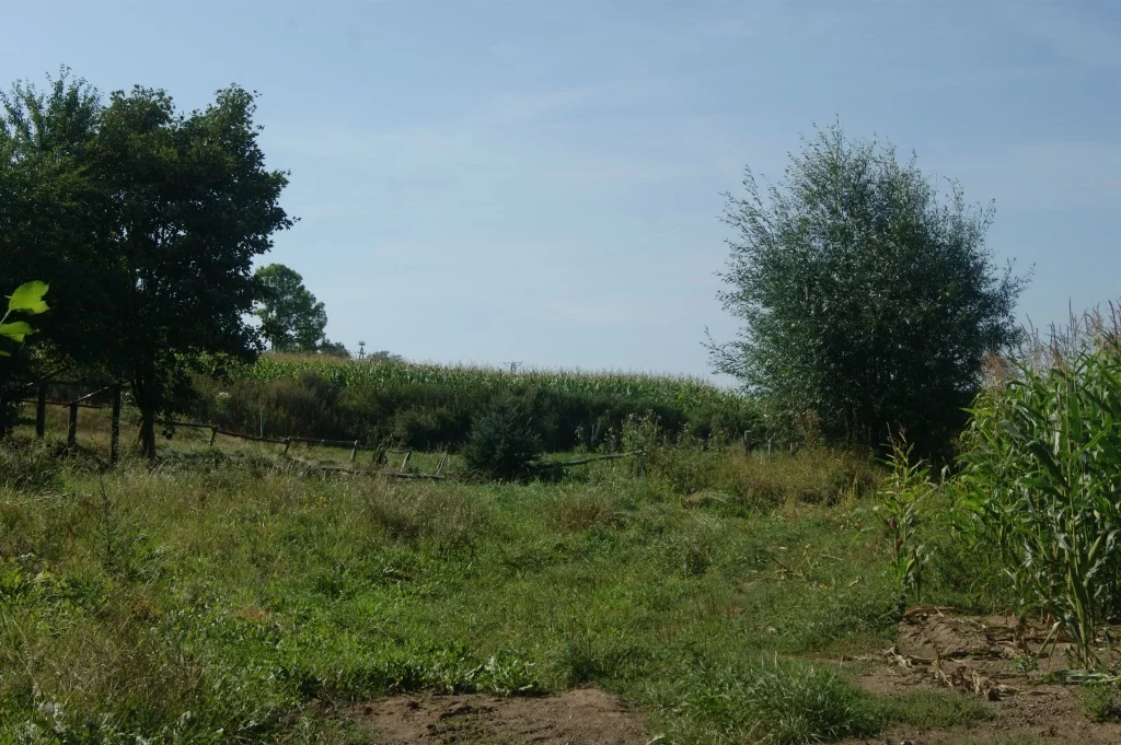 Działka 1 000,00 m², oferta nr , 58/14328/OGS, Stare Bogaczowice