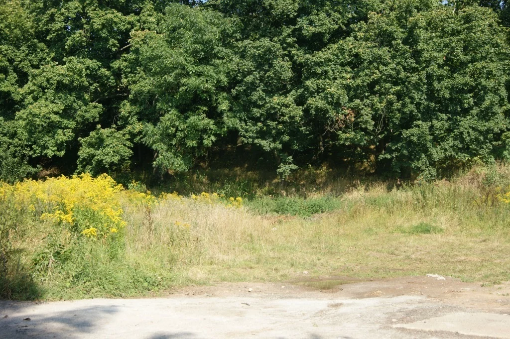 Działka 1 000,00 m², oferta nr , 58/14328/OGS, Stare Bogaczowice