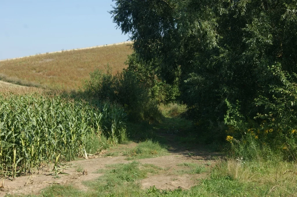 Działka 1 000,00 m², oferta nr , 58/14328/OGS, Stare Bogaczowice