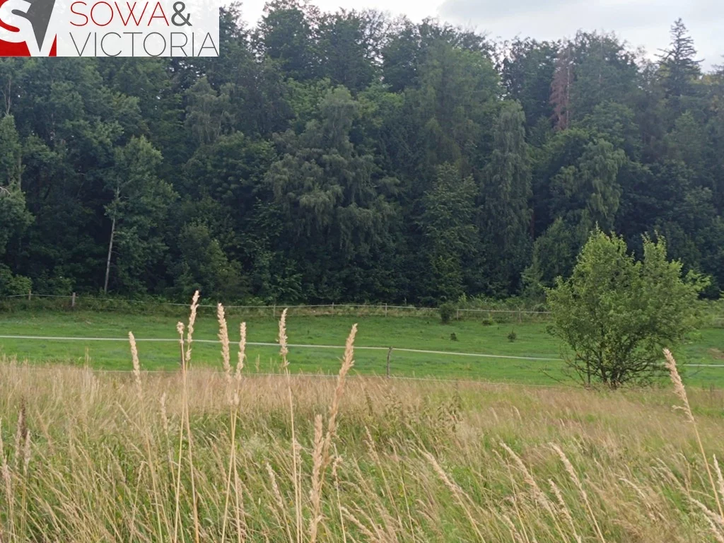 Działka 1 091,00 m², oferta nr , 784/14328/OGS, Stare Bogaczowice
