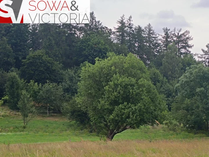 Działka 1 091,00 m², oferta nr , 784/14328/OGS, Stare Bogaczowice