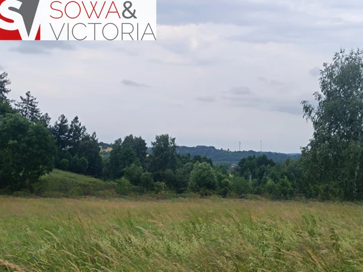 Działka 1 091,00 m², oferta nr , 784/14328/OGS, Stare Bogaczowice