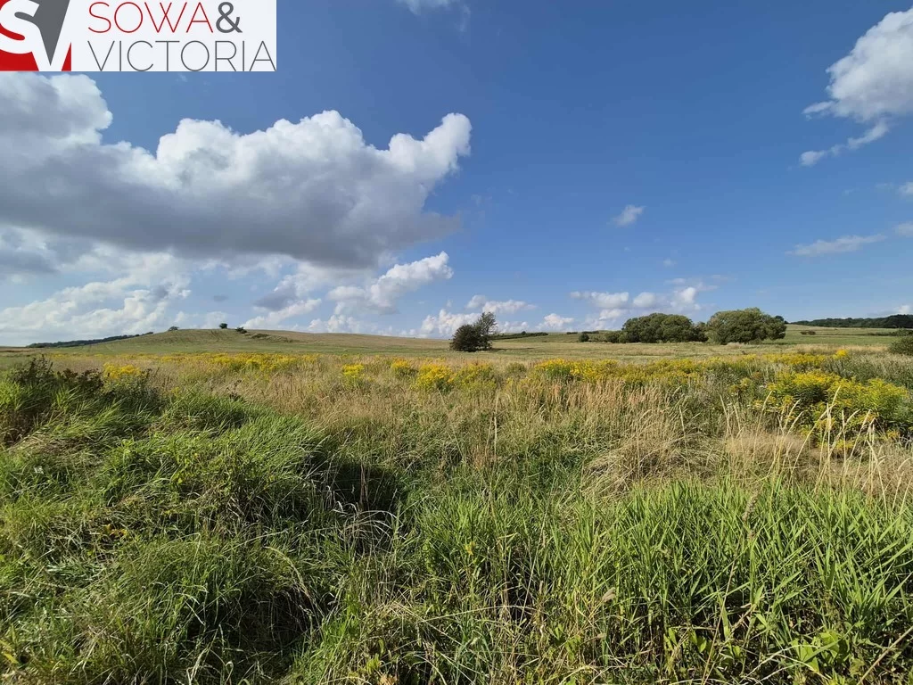 Działka 4 000,00 m², oferta nr , 780/14328/OGS, Struga