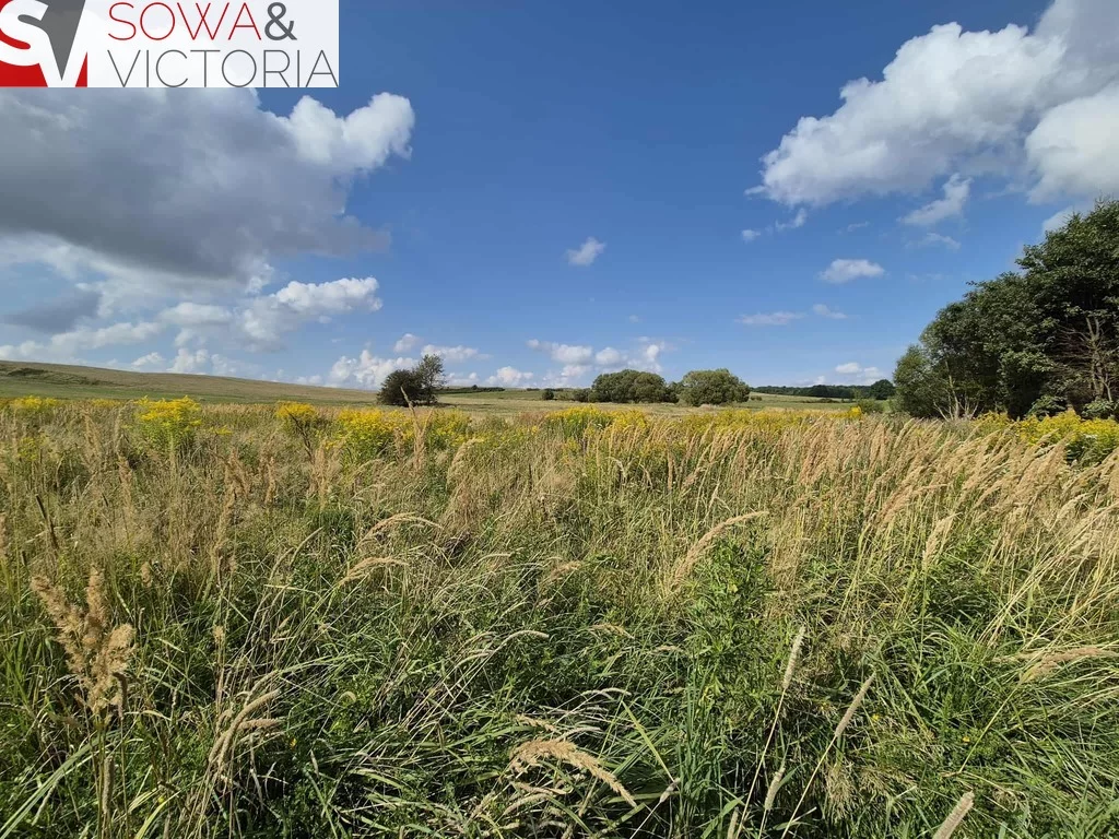 Działka 4 000,00 m², oferta nr , 780/14328/OGS, Struga