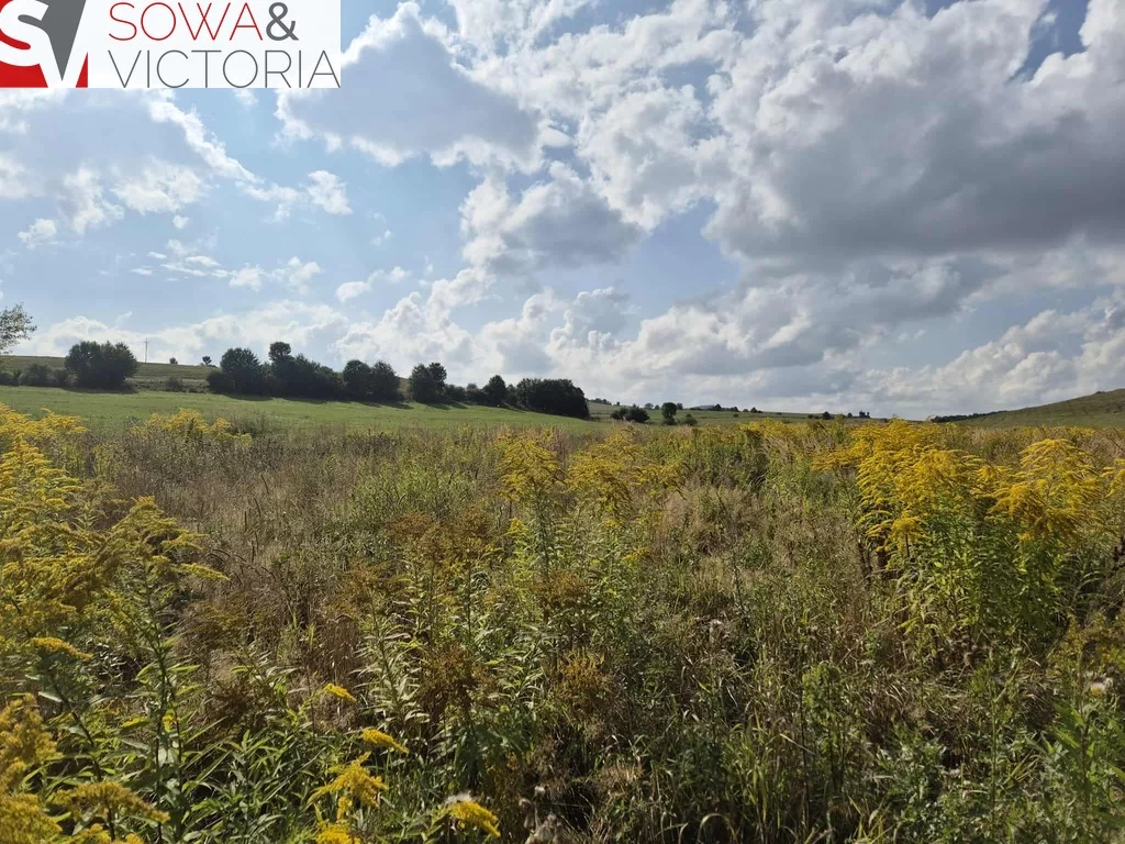 Działka 4 000,00 m², oferta nr , 780/14328/OGS, Struga