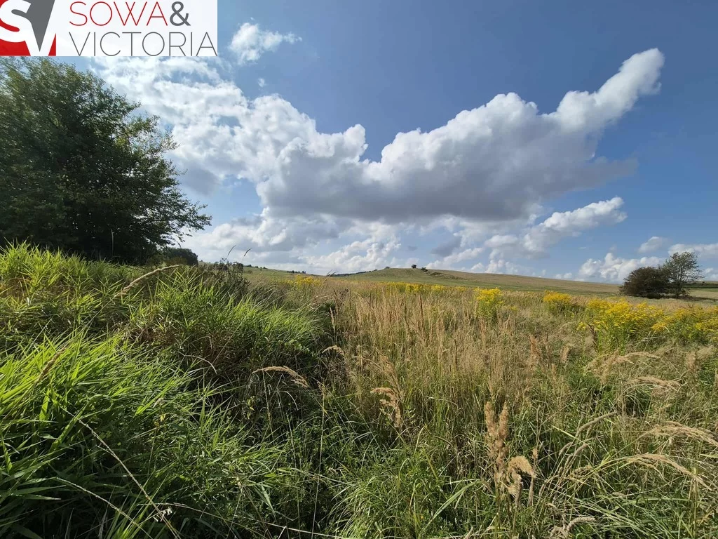 Działka 4 000,00 m², oferta nr , 780/14328/OGS, Struga