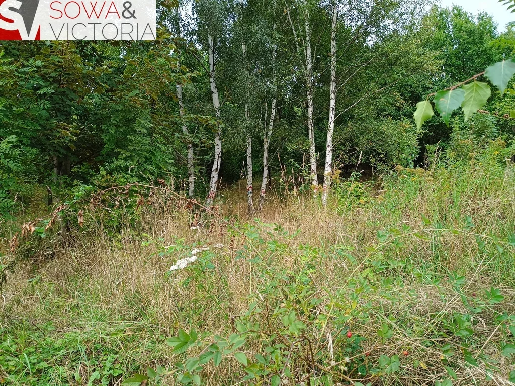 Działka 1 497,00 m², oferta nr , 782/14328/OGS, Struga