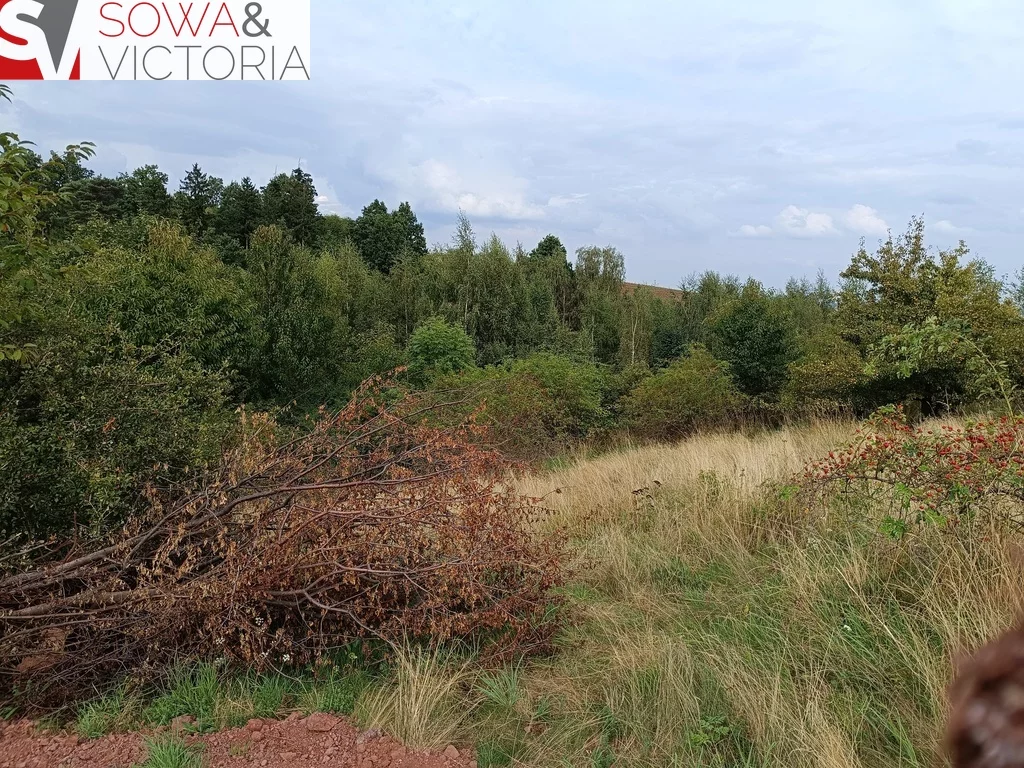 Działka 1 497,00 m², oferta nr , 782/14328/OGS, Struga
