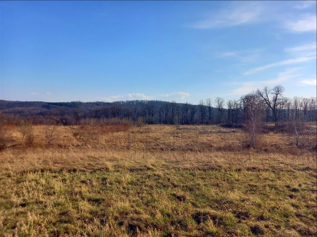 Działka 2 252,00 m², oferta nr , 252/14328/OGS, Świebodzice