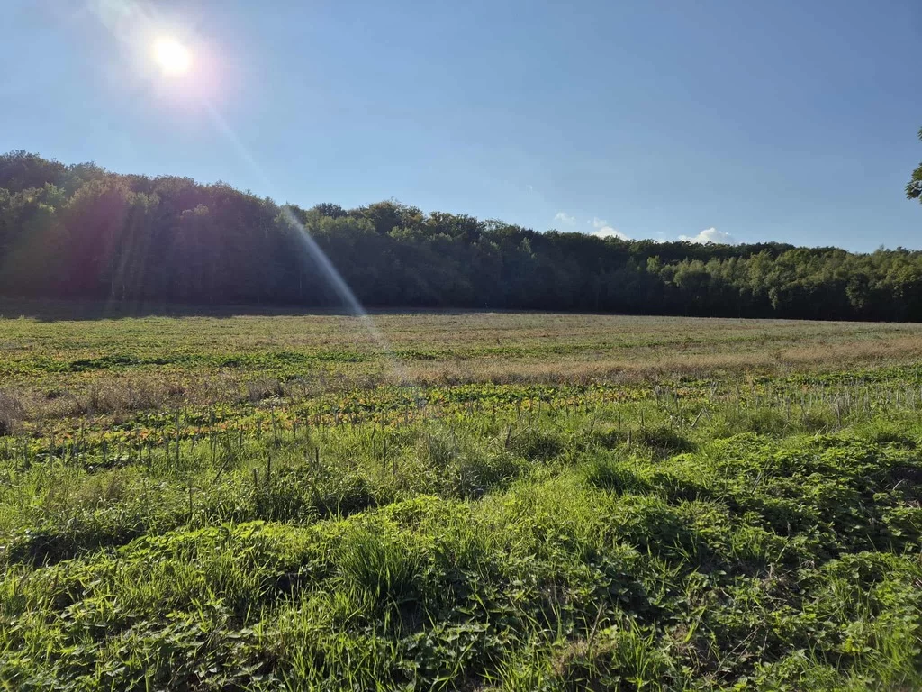 Działka 54 058,00 m², oferta nr , 322/14328/OGS, Świebodzice