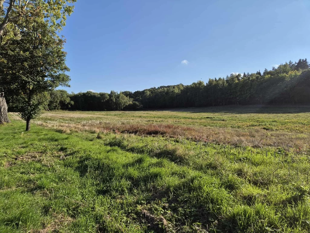 Działka 54 058,00 m², oferta nr , 322/14328/OGS, Świebodzice