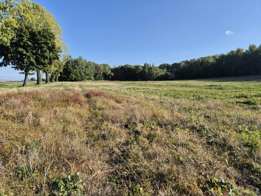 Działka 54 058,00 m², oferta nr , 322/14328/OGS, Świebodzice