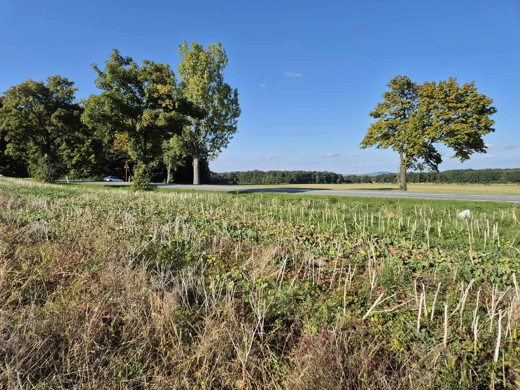 Działka 54 058,00 m², oferta nr , 322/14328/OGS, Świebodzice