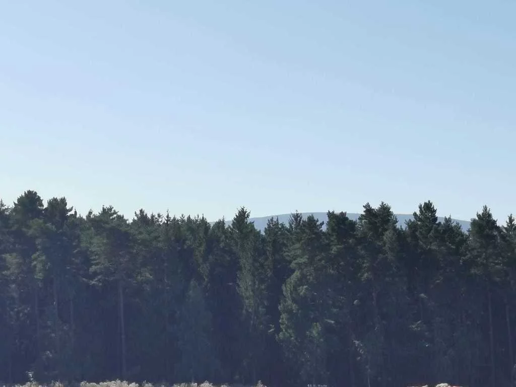 Działka 1 800,00 m², oferta nr , 574/14328/OGS, Świecie