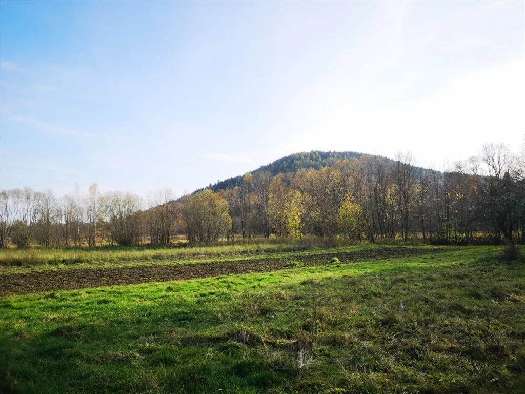 Działka 2 400,00 m², oferta nr , 424/14328/OGS, Szarocin