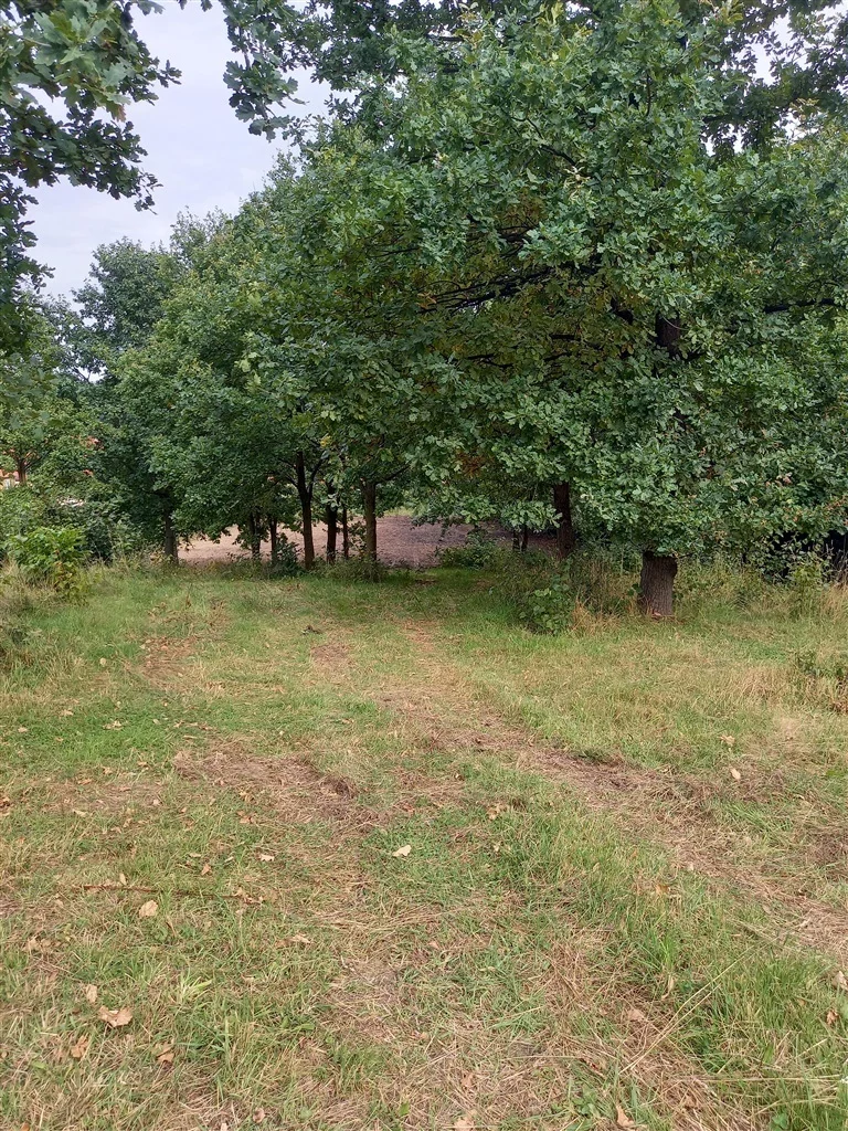 Działka 5 562,00 m², oferta nr , 510/14328/OGS, Szczawno-Zdrój