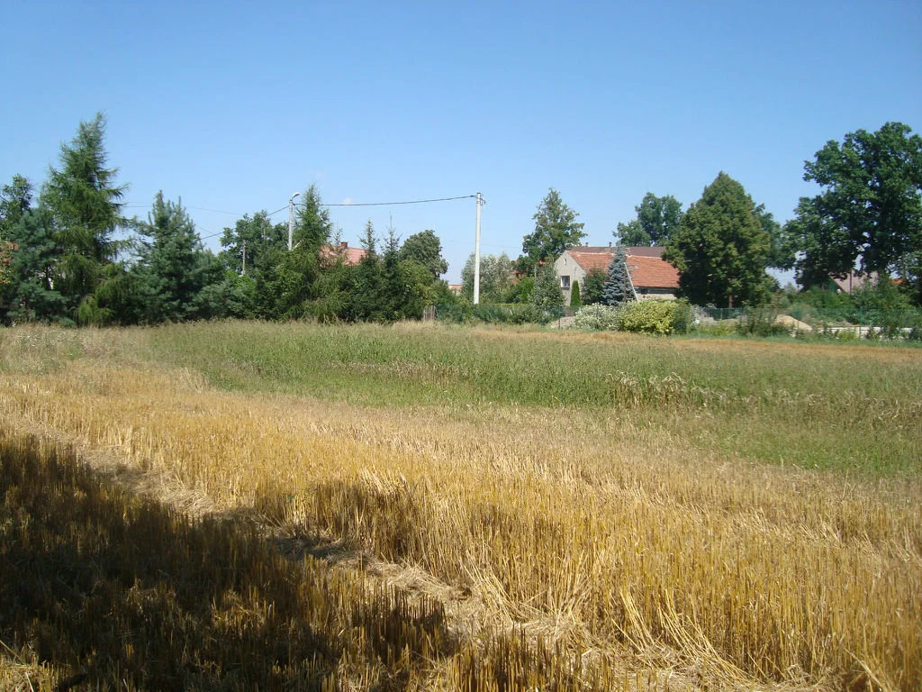 Działka 1 500,00 m², oferta nr , 19/14328/OGS, Szymanów
