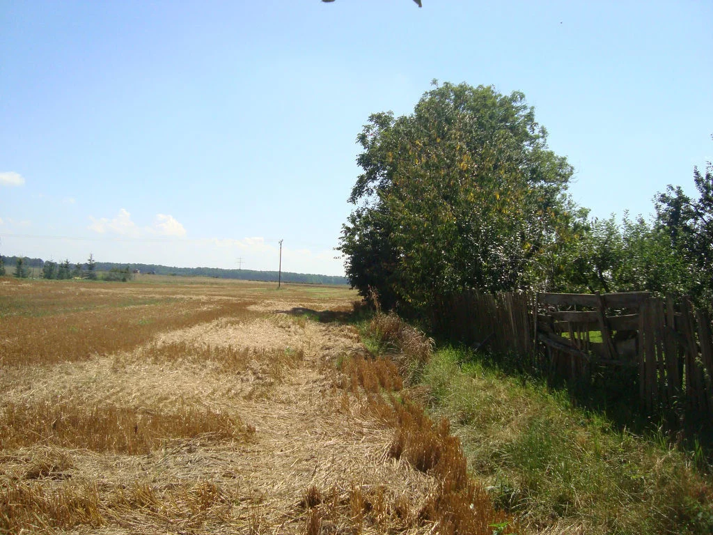 Działka 1 500,00 m², oferta nr , 19/14328/OGS, Szymanów