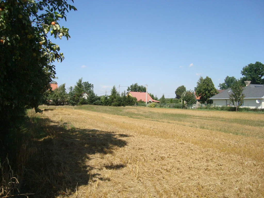Działka 1 500,00 m², oferta nr , 19/14328/OGS, Szymanów