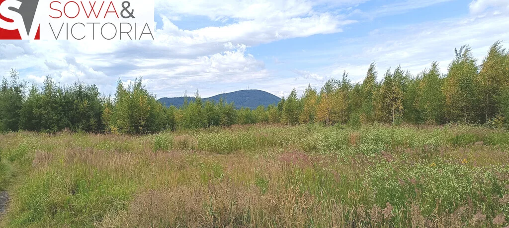 Apartamenty 746/14328/OGS Wałbrzych Gaj