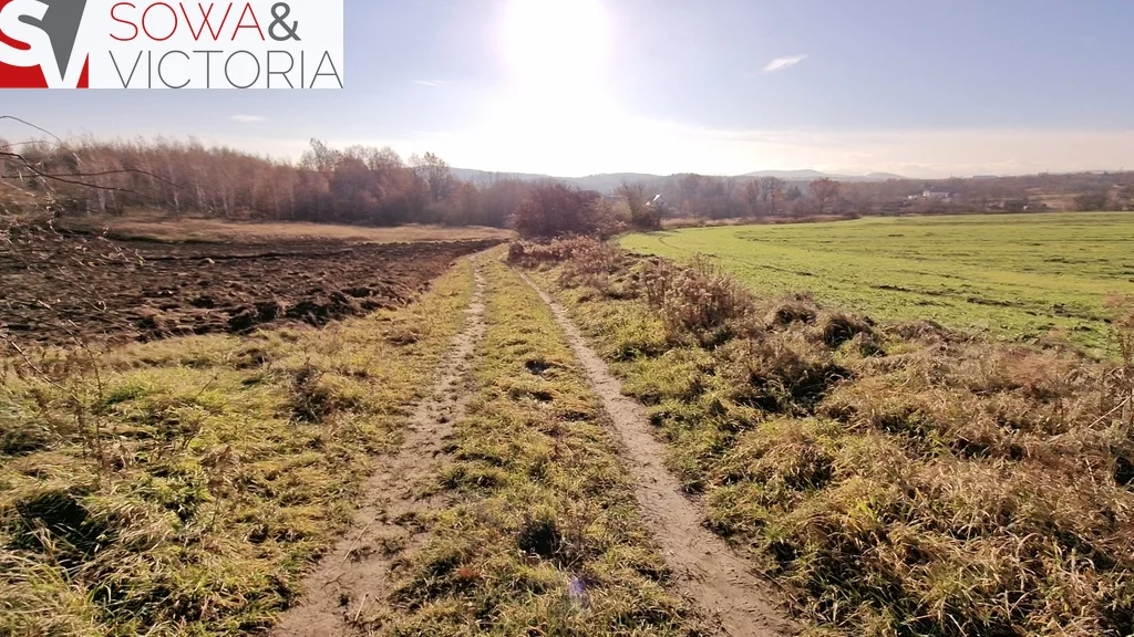Działka 3 069,00 m², oferta nr , 700/14328/OGS, Wałbrzych, Lubiechów