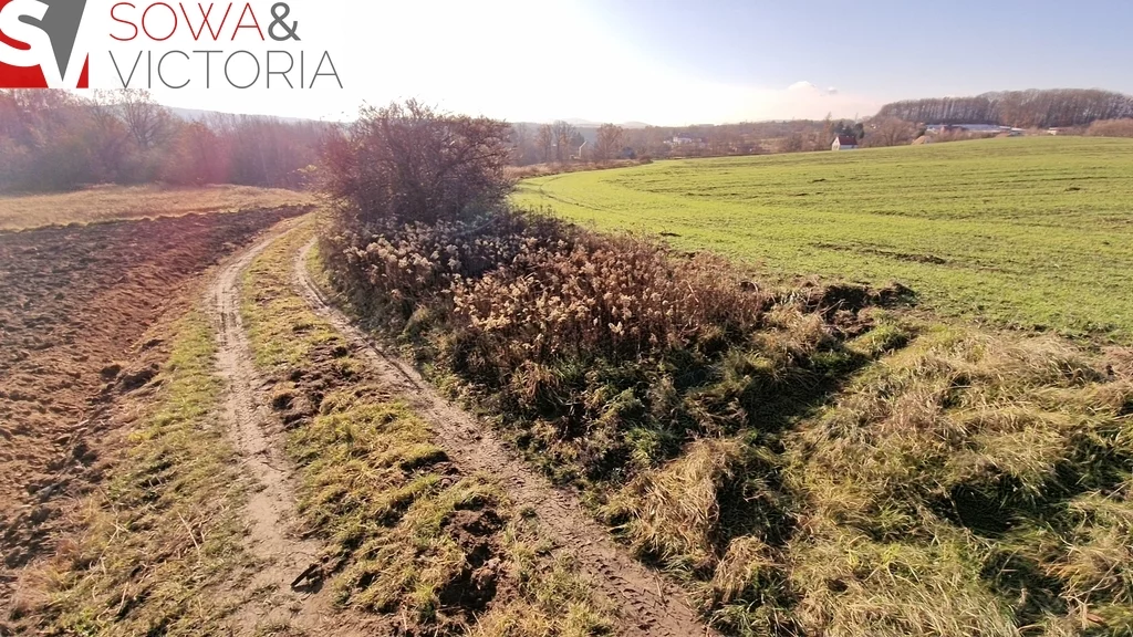Działka 3 069,00 m², oferta nr , 700/14328/OGS, Wałbrzych, Lubiechów