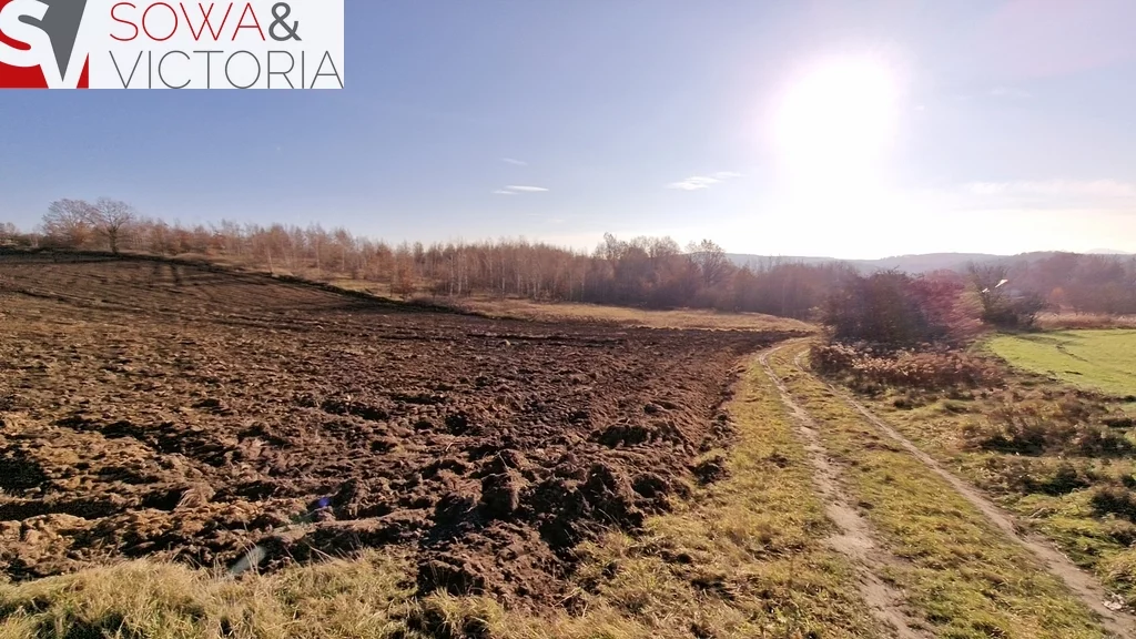 Działka 3 069,00 m², oferta nr , 700/14328/OGS, Wałbrzych, Lubiechów