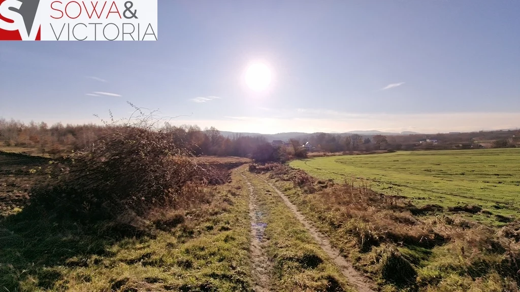 Działka 3 069,00 m², oferta nr , 700/14328/OGS, Wałbrzych, Lubiechów