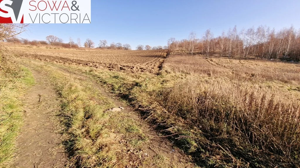 Działka 3 069,00 m², oferta nr , 700/14328/OGS, Wałbrzych, Lubiechów