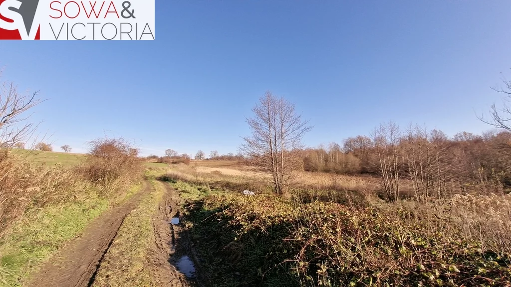 Działka 3 069,00 m², oferta nr , 700/14328/OGS, Wałbrzych, Lubiechów