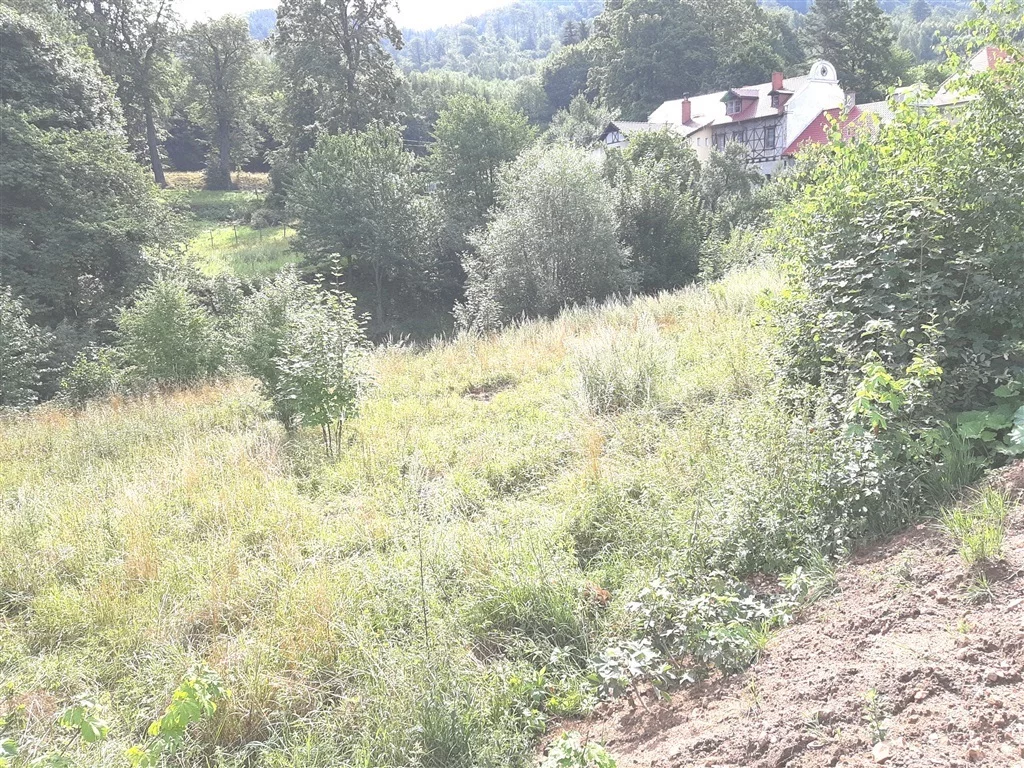 Działka 1 928,00 m², oferta nr , 553/14328/OGS, Wałbrzych, Podgórze