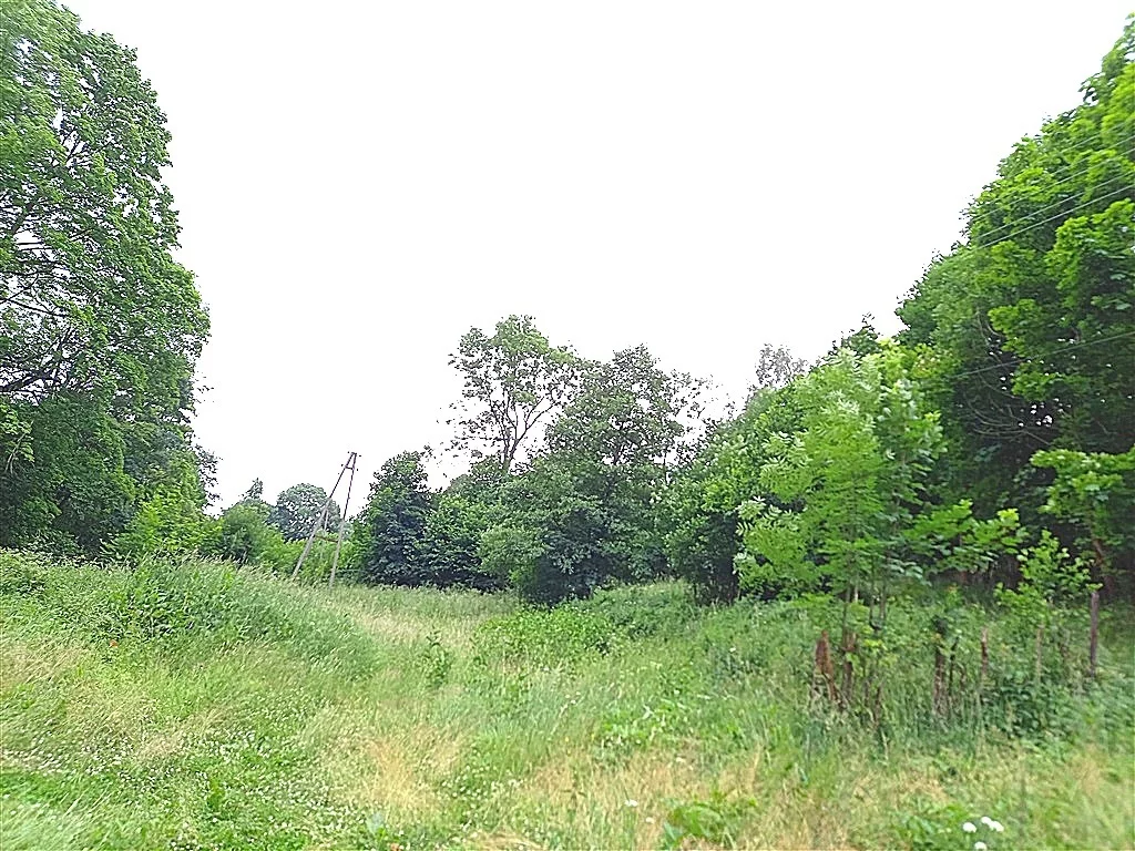 Działka 49 400,00 m², oferta nr , 347/14328/OGS, Walim