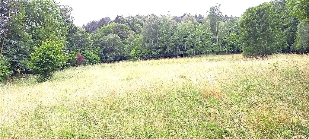 Działka 49 400,00 m², oferta nr , 347/14328/OGS, Walim