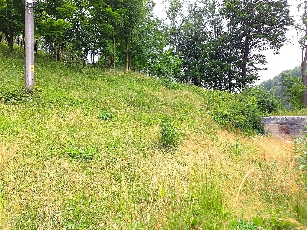 Działka 49 400,00 m², oferta nr , 347/14328/OGS, Walim