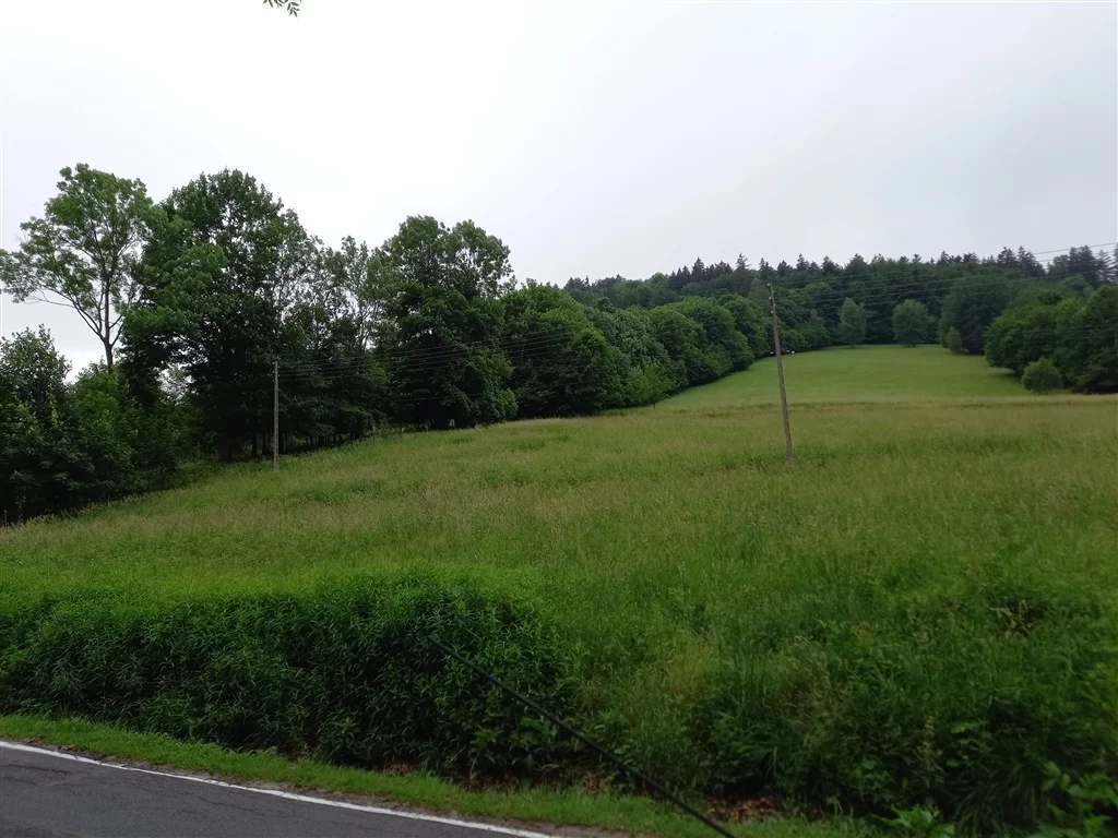 Działka 49 400,00 m², oferta nr , 347/14328/OGS, Walim