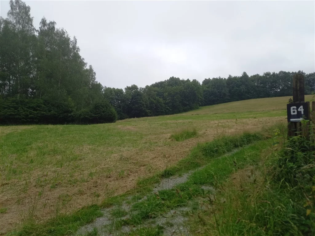 Działka 49 400,00 m², oferta nr , 347/14328/OGS, Walim