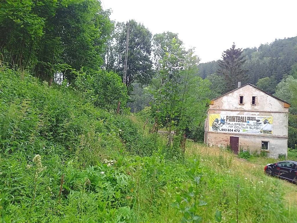 Działka 49 400,00 m², oferta nr , 347/14328/OGS, Walim
