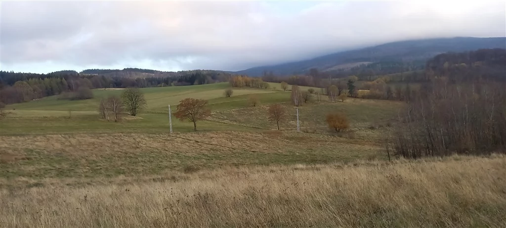 Działka 1 937,00 m², oferta nr , 483/14328/OGS, Walim