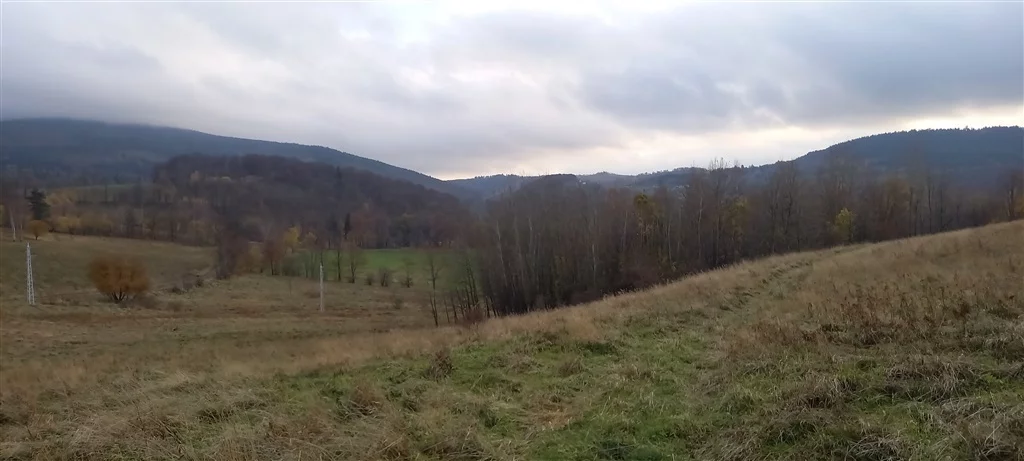 Działka 1 937,00 m², oferta nr , 483/14328/OGS, Walim