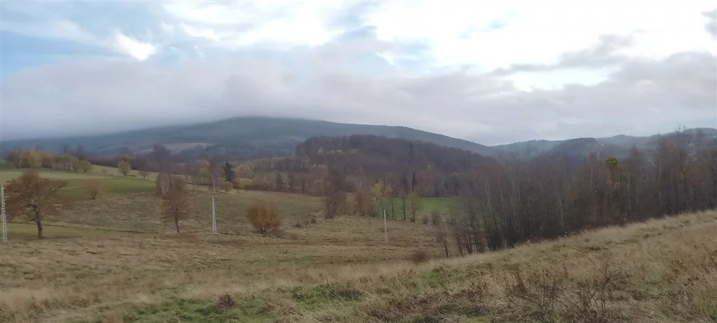 Działka 1 937,00 m², oferta nr , 483/14328/OGS, Walim