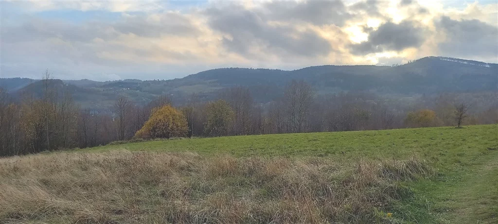 Działka 1 937,00 m², oferta nr , 483/14328/OGS, Walim