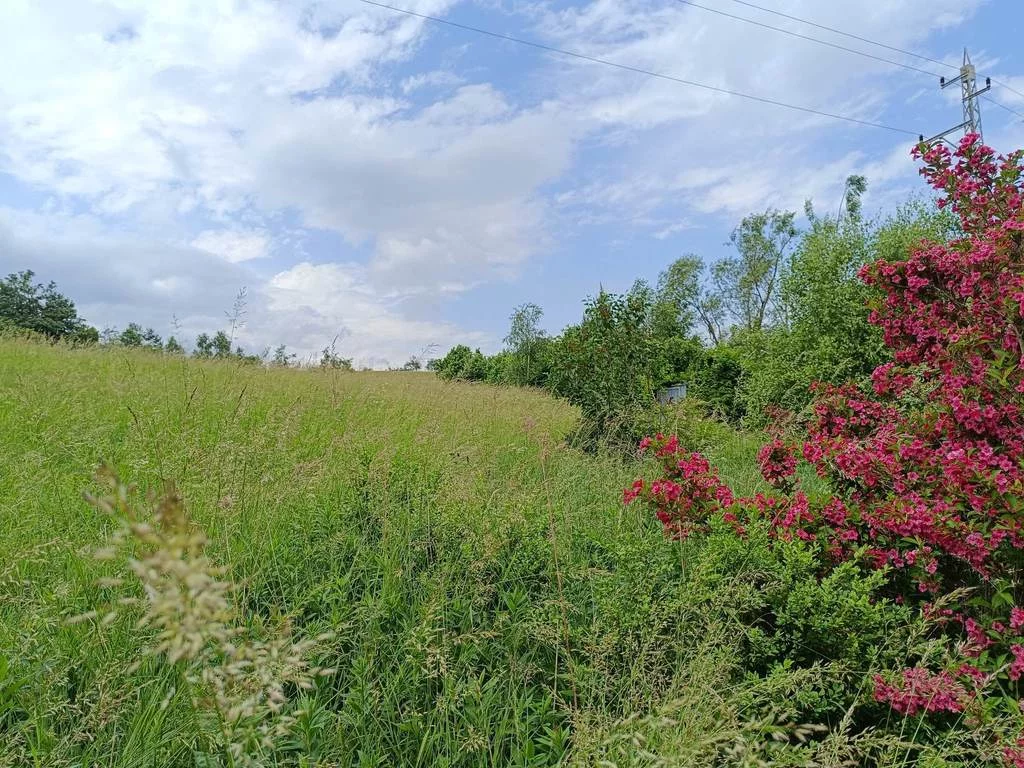 Działka 22 085,00 m², oferta nr , 567/14328/OGS, Walim