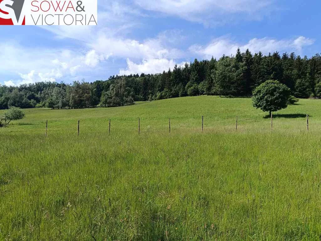 Działka 3 000,00 m², oferta nr , 772/14328/OGS, Walim