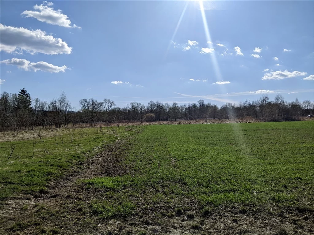 Działka 3 000,00 m², oferta nr , 444/14328/OGS, Wolimierz