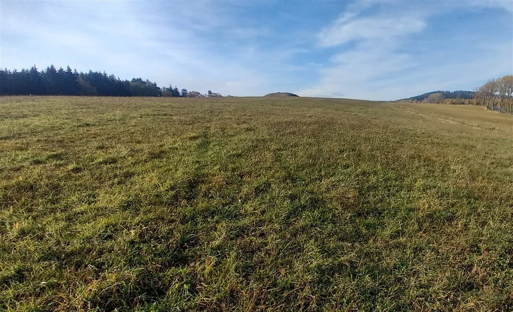 Działka 3 616,00 m², oferta nr , 294/14328/OGS, Zagórze Śląskie