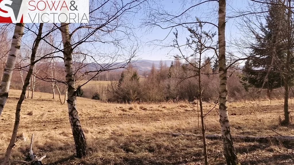 Działka 2 100,00 m², oferta nr , 686/14328/OGS, Zagórze Śląskie