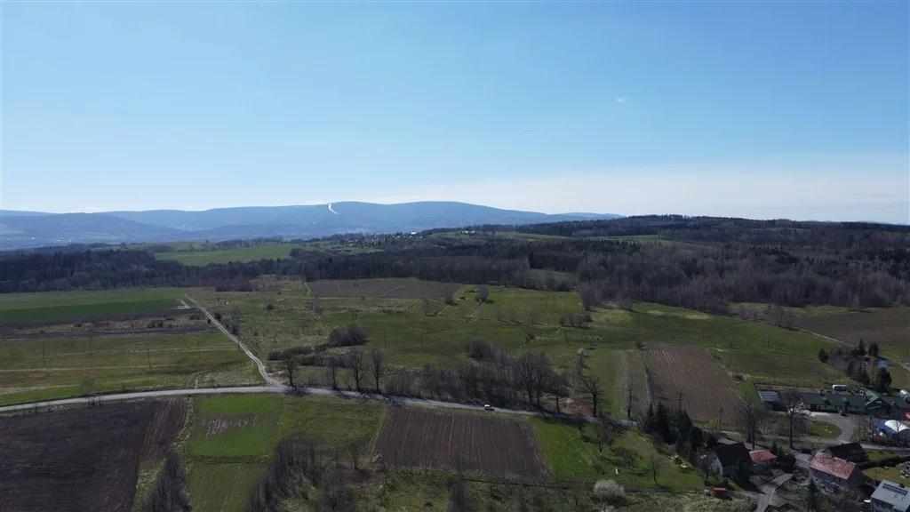 Działka 825,00 m², oferta nr , 509/14328/OGS, Złotniki Lubańskie