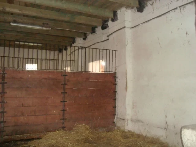 Lokal użytkowy 500,00 m², oferta nr , 5/14328/OOS, Wałbrzych, Biały Kamień