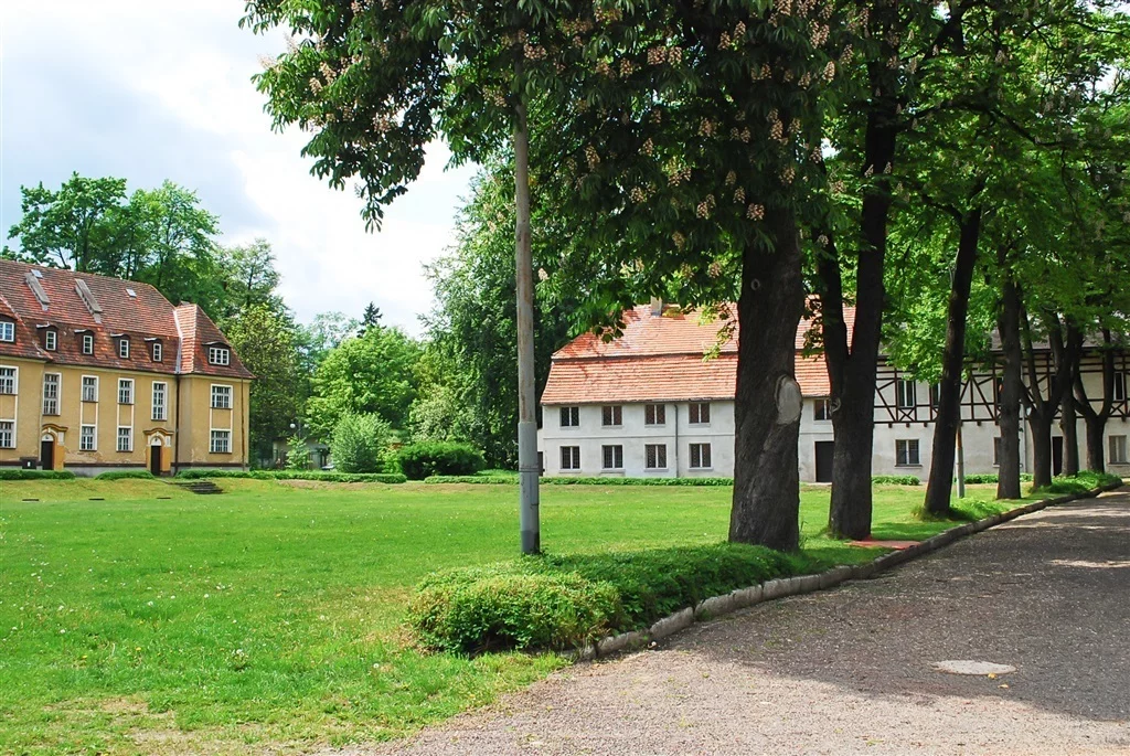 Lokal użytkowy 5 000,00 m², oferta nr , 30/14328/OOS, Wałbrzych, Rusinowa