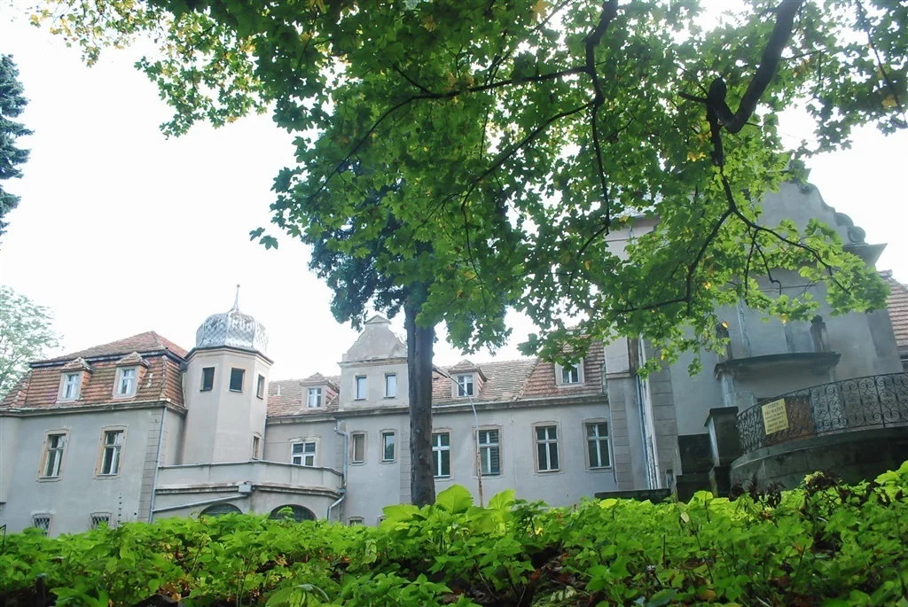 Lokal użytkowy 5 000,00 m², oferta nr , 30/14328/OOS, Wałbrzych, Rusinowa